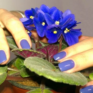 MATRONITA — салон красоты в Хайфе